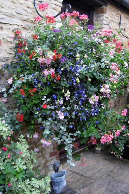 Daphne Preston's winning hanging basket.jpg